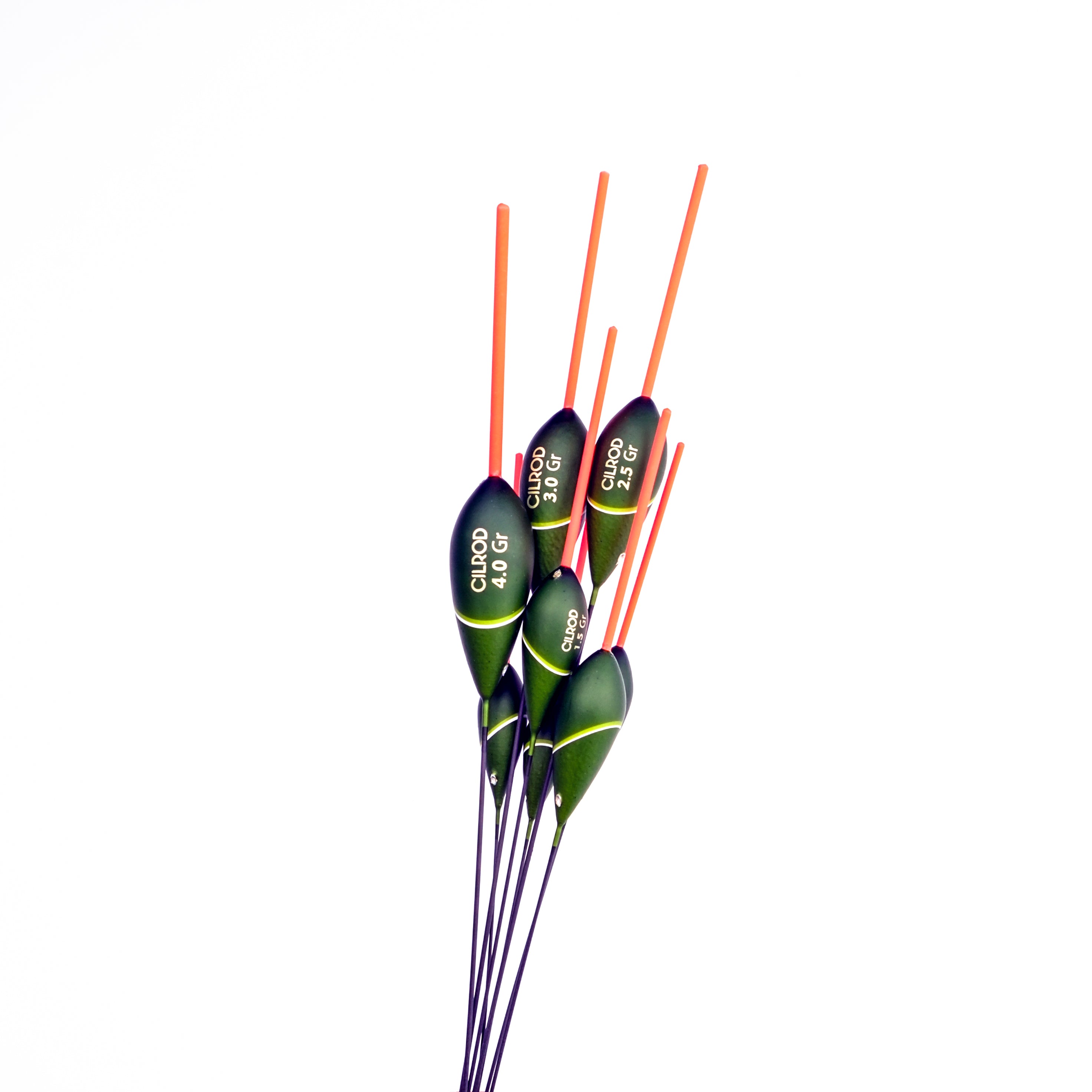 NEW 2025 GALLEGGIANTE CILROD TINCA