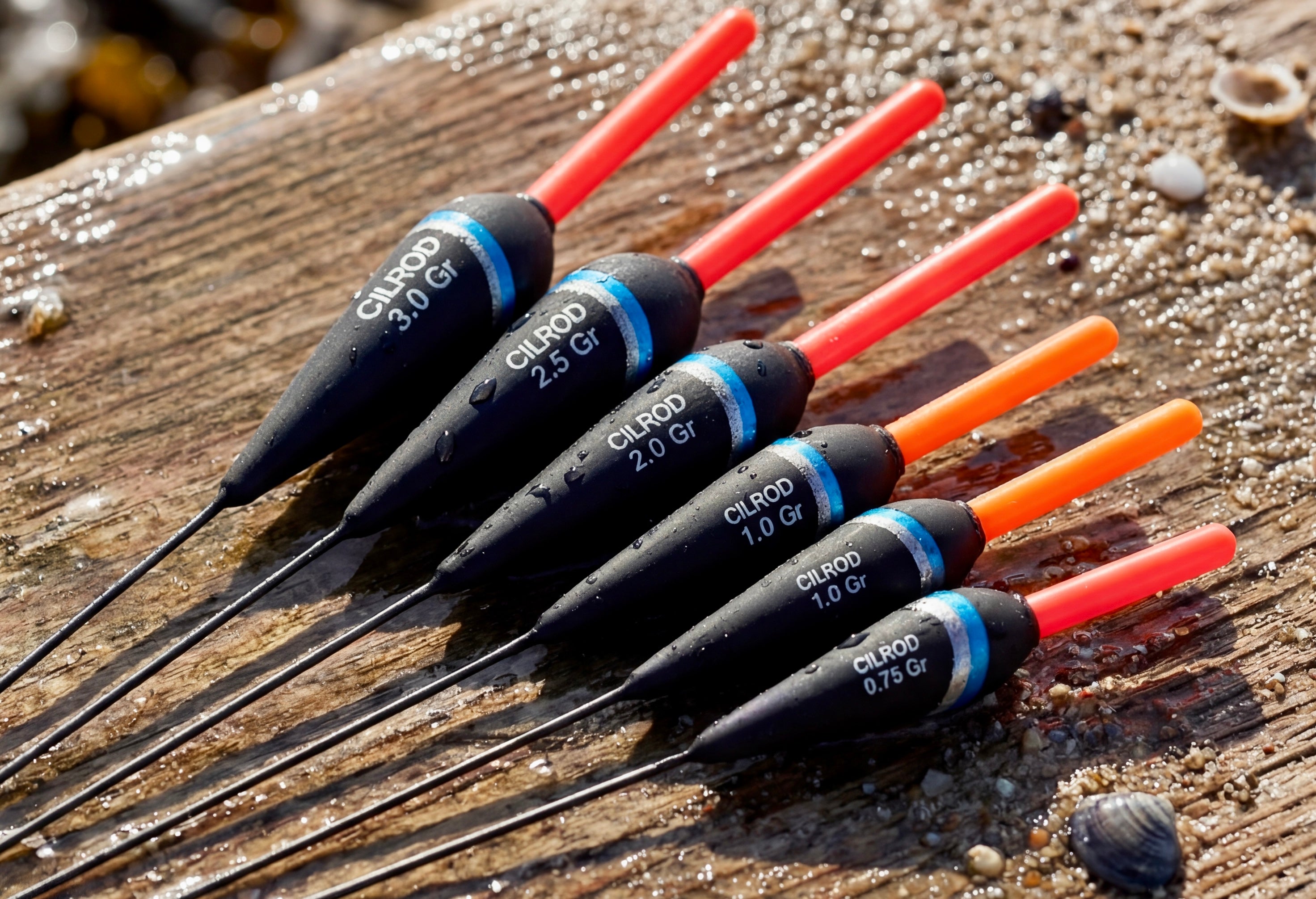 NEW 2025 GALLEGGIANTE CILROD NETTUNO