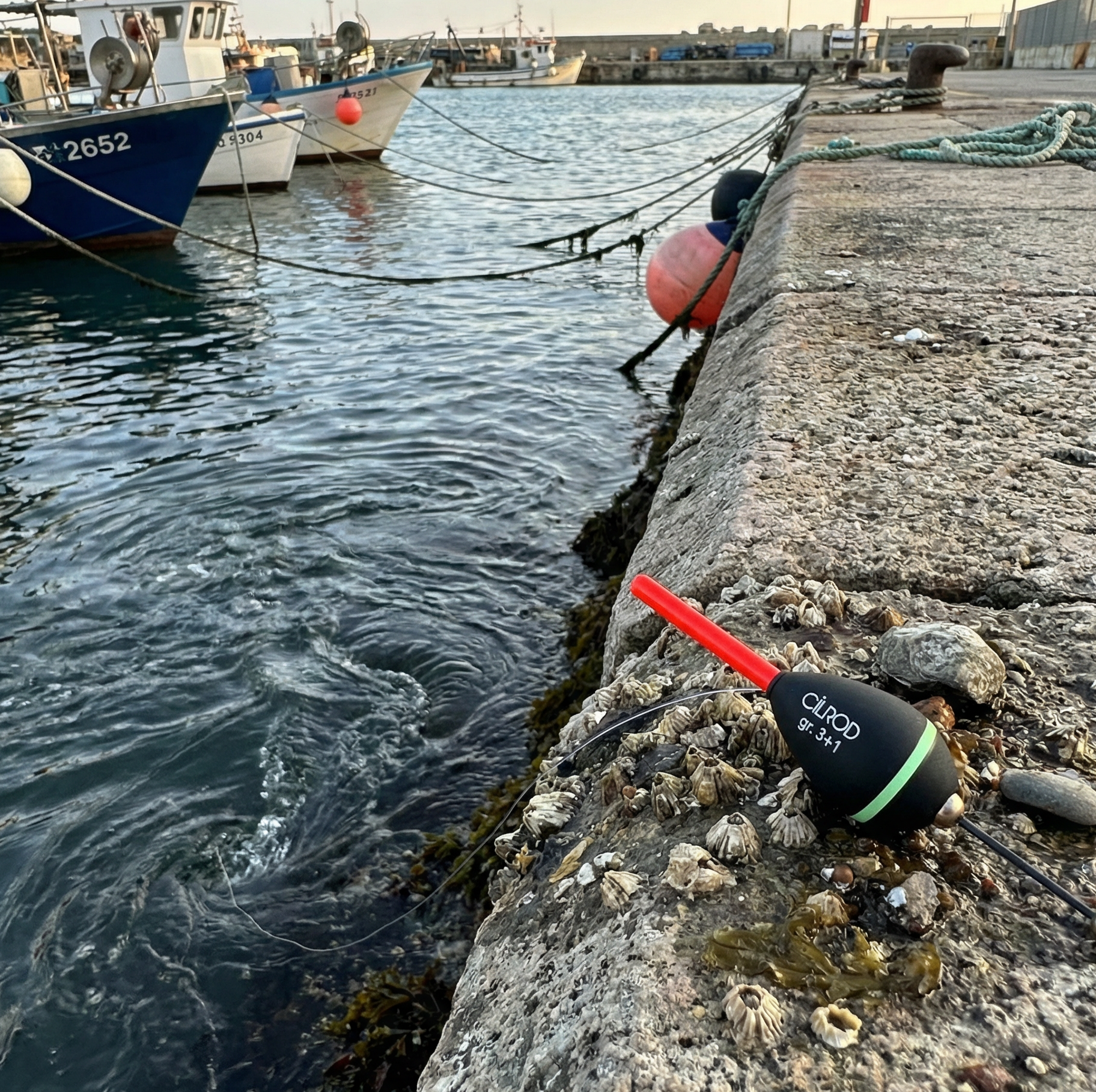 NEW 2025 GALLEGGIANTE GARIGLIANO PIOMBATO