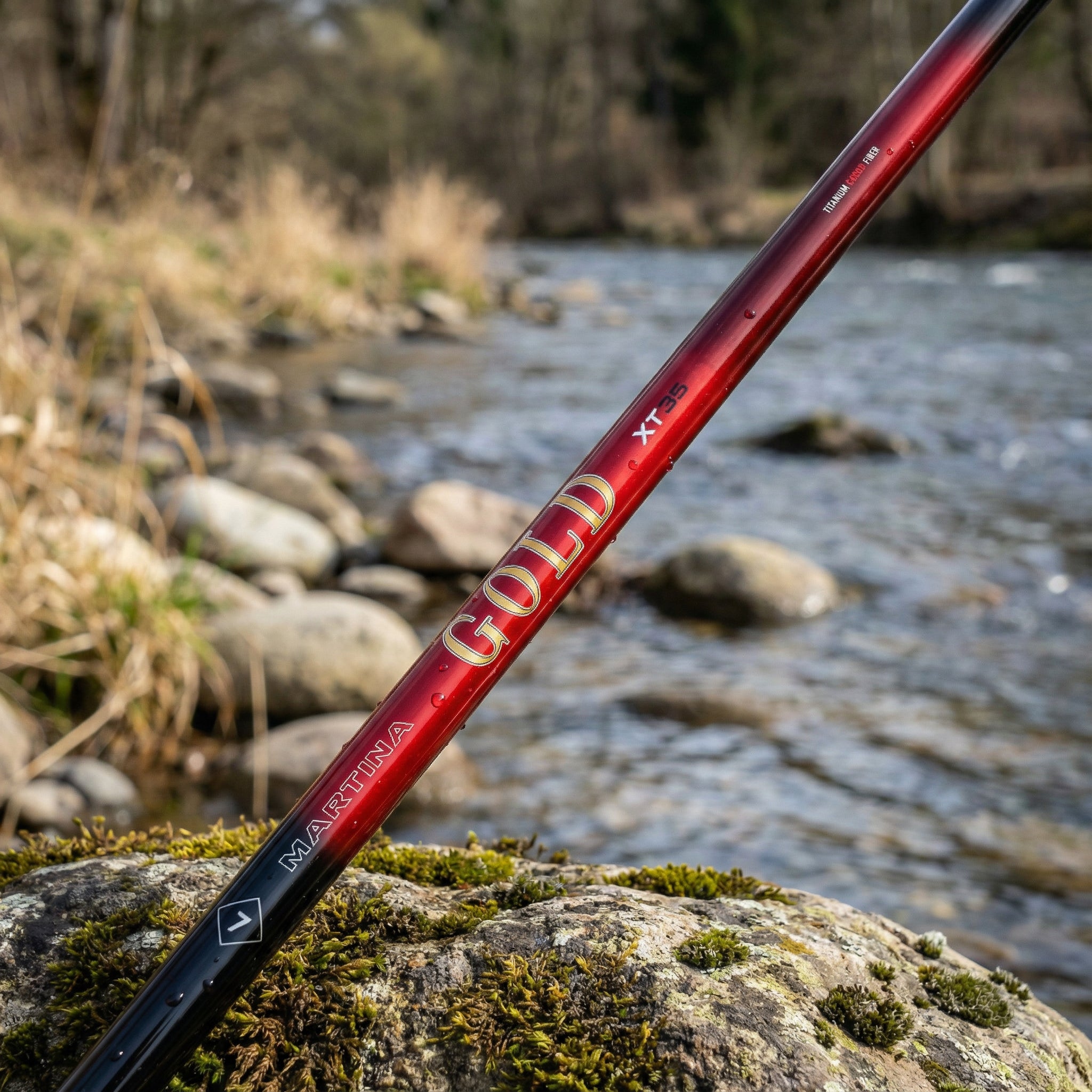 Bolognese Martina Bolo Gold XT35 2026 Montata