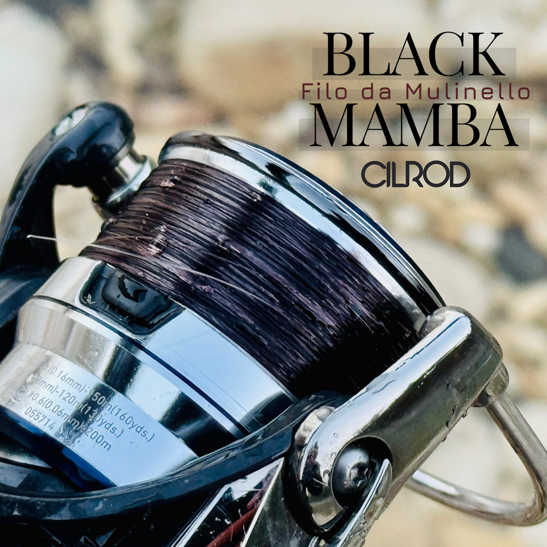 Filo da mulinello Cilrod Black Mamba 300 mt