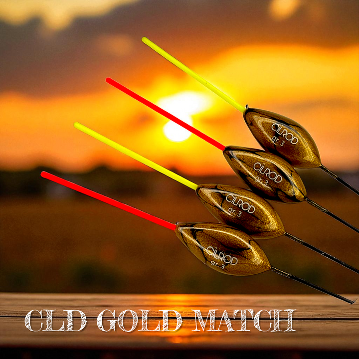 NEW 2025 GALLEGGIANTE CLD GOLD MACTH