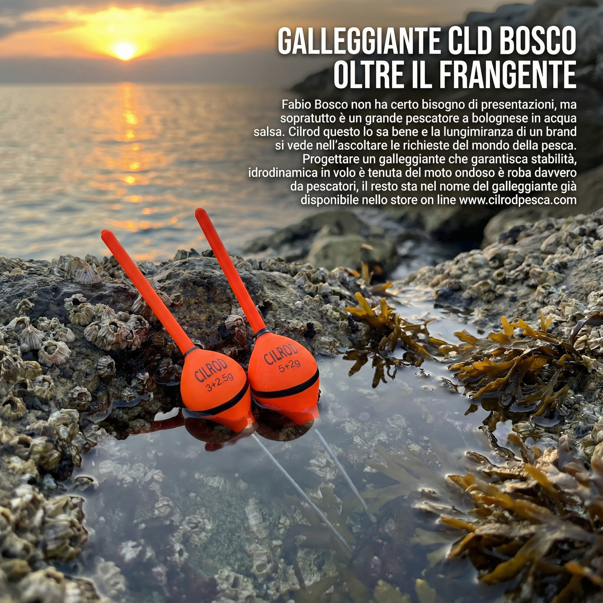 NEW GALLEGGIANTE PIOMBATO CLD BOSCO IN BALSA