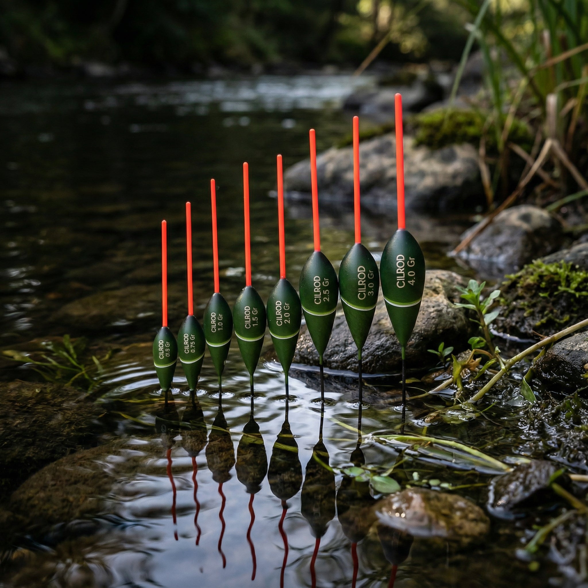 NEW 2025 GALLEGGIANTE CILROD TINCA